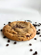 Chocolate Chip